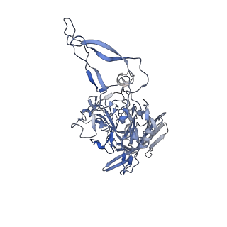 20609_6u0r_P_v1-1
Cryo-EM structure of the chimeric vector AAV2.7m8