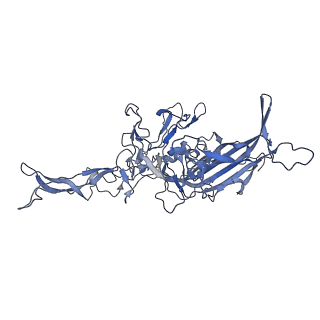 20609_6u0r_b_v1-0
Cryo-EM structure of the chimeric vector AAV2.7m8