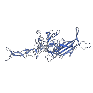 20609_6u0r_b_v1-1
Cryo-EM structure of the chimeric vector AAV2.7m8