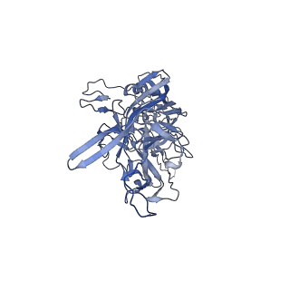 20609_6u0r_d_v1-0
Cryo-EM structure of the chimeric vector AAV2.7m8