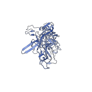 20609_6u0r_d_v1-1
Cryo-EM structure of the chimeric vector AAV2.7m8