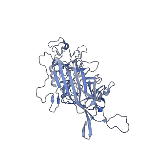 20609_6u0r_i_v1-1
Cryo-EM structure of the chimeric vector AAV2.7m8