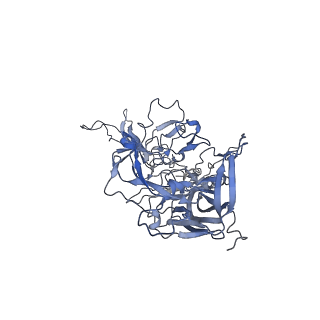20609_6u0r_o_v1-0
Cryo-EM structure of the chimeric vector AAV2.7m8