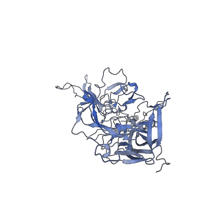 20609_6u0r_o_v1-1
Cryo-EM structure of the chimeric vector AAV2.7m8