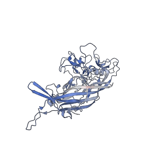 20609_6u0r_s_v1-1
Cryo-EM structure of the chimeric vector AAV2.7m8