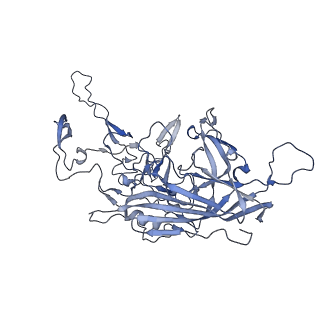 20609_6u0r_w_v1-0
Cryo-EM structure of the chimeric vector AAV2.7m8