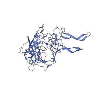 20610_6u0v_1_v1-1
Atomic-Resolution Cryo-EM Structure of AAV2 VLP