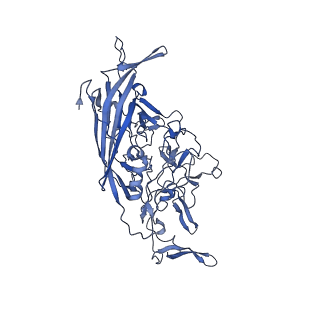 20610_6u0v_2_v1-1
Atomic-Resolution Cryo-EM Structure of AAV2 VLP