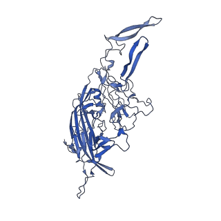 20610_6u0v_4_v1-1
Atomic-Resolution Cryo-EM Structure of AAV2 VLP