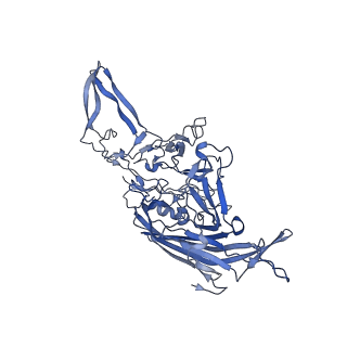 20610_6u0v_5_v1-1
Atomic-Resolution Cryo-EM Structure of AAV2 VLP