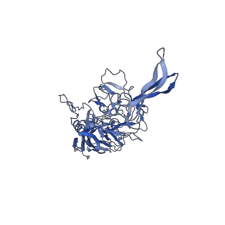 20610_6u0v_6_v1-1
Atomic-Resolution Cryo-EM Structure of AAV2 VLP