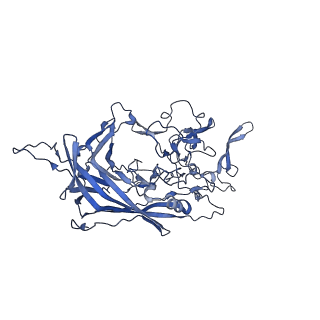 20610_6u0v_7_v1-1
Atomic-Resolution Cryo-EM Structure of AAV2 VLP