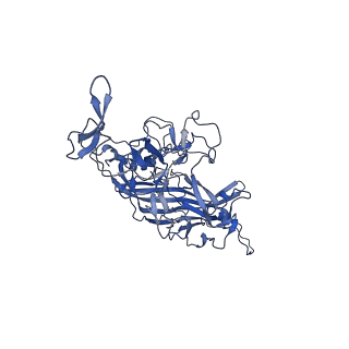 20610_6u0v_8_v1-1
Atomic-Resolution Cryo-EM Structure of AAV2 VLP