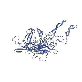 20610_6u0v_B_v1-1
Atomic-Resolution Cryo-EM Structure of AAV2 VLP