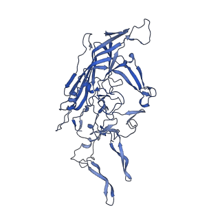 20610_6u0v_H_v1-1
Atomic-Resolution Cryo-EM Structure of AAV2 VLP