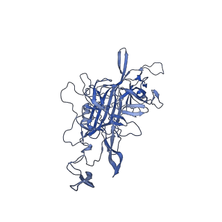 20610_6u0v_L_v1-1
Atomic-Resolution Cryo-EM Structure of AAV2 VLP