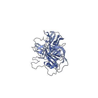 20610_6u0v_M_v1-1
Atomic-Resolution Cryo-EM Structure of AAV2 VLP