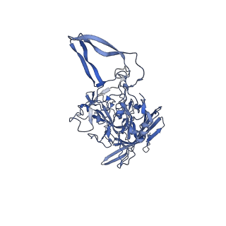 20610_6u0v_P_v1-1
Atomic-Resolution Cryo-EM Structure of AAV2 VLP