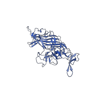 20610_6u0v_Q_v1-1
Atomic-Resolution Cryo-EM Structure of AAV2 VLP