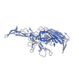 20610_6u0v_T_v1-1
Atomic-Resolution Cryo-EM Structure of AAV2 VLP