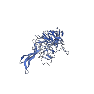 20610_6u0v_U_v1-1
Atomic-Resolution Cryo-EM Structure of AAV2 VLP