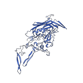 20610_6u0v_X_v1-1
Atomic-Resolution Cryo-EM Structure of AAV2 VLP