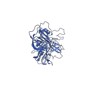 20610_6u0v_Y_v1-1
Atomic-Resolution Cryo-EM Structure of AAV2 VLP