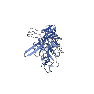 20610_6u0v_d_v1-1
Atomic-Resolution Cryo-EM Structure of AAV2 VLP