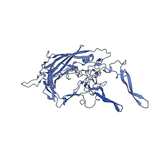 20610_6u0v_e_v1-1
Atomic-Resolution Cryo-EM Structure of AAV2 VLP