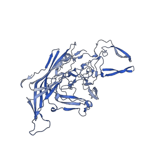 20610_6u0v_h_v1-1
Atomic-Resolution Cryo-EM Structure of AAV2 VLP