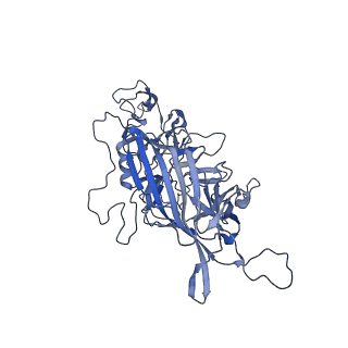 20610_6u0v_i_v1-1
Atomic-Resolution Cryo-EM Structure of AAV2 VLP