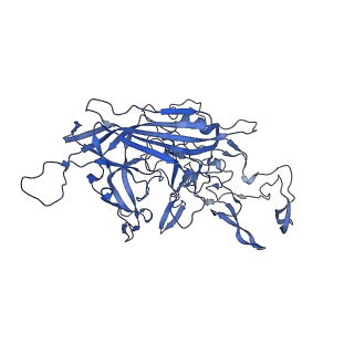 20610_6u0v_j_v1-1
Atomic-Resolution Cryo-EM Structure of AAV2 VLP