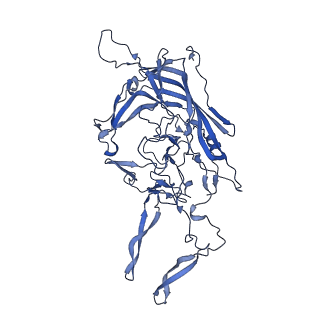 20610_6u0v_l_v1-1
Atomic-Resolution Cryo-EM Structure of AAV2 VLP