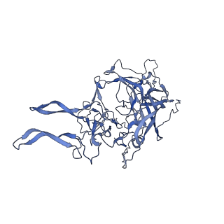 20610_6u0v_n_v1-1
Atomic-Resolution Cryo-EM Structure of AAV2 VLP