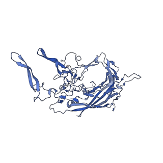 20610_6u0v_p_v1-1
Atomic-Resolution Cryo-EM Structure of AAV2 VLP