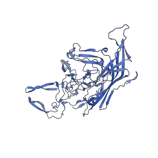 20610_6u0v_q_v1-1
Atomic-Resolution Cryo-EM Structure of AAV2 VLP