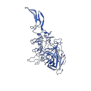 20610_6u0v_r_v1-1
Atomic-Resolution Cryo-EM Structure of AAV2 VLP