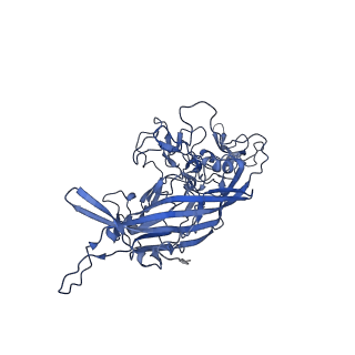 20610_6u0v_s_v1-1
Atomic-Resolution Cryo-EM Structure of AAV2 VLP