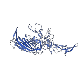 20610_6u0v_t_v1-1
Atomic-Resolution Cryo-EM Structure of AAV2 VLP