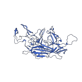 20610_6u0v_w_v1-1
Atomic-Resolution Cryo-EM Structure of AAV2 VLP