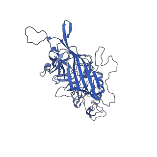 20610_6u0v_y_v1-1
Atomic-Resolution Cryo-EM Structure of AAV2 VLP