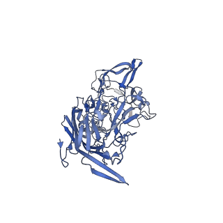 20610_6u0v_z_v1-1
Atomic-Resolution Cryo-EM Structure of AAV2 VLP