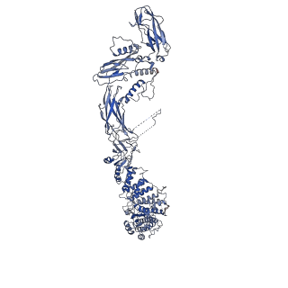 26254_7u05_A_v1-1
Structure of the yeast TRAPPII-Rab11/Ypt32 complex in the closed/closed state (composite structure)