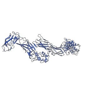 26254_7u05_B_v1-1
Structure of the yeast TRAPPII-Rab11/Ypt32 complex in the closed/closed state (composite structure)