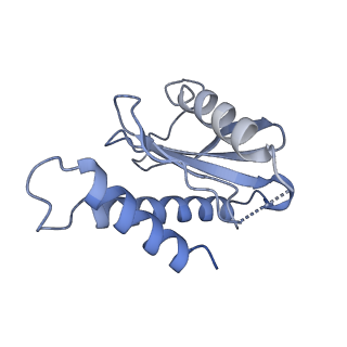 26254_7u05_D_v1-1
Structure of the yeast TRAPPII-Rab11/Ypt32 complex in the closed/closed state (composite structure)