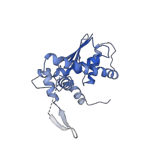 26254_7u05_E_v1-1
Structure of the yeast TRAPPII-Rab11/Ypt32 complex in the closed/closed state (composite structure)
