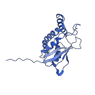 26254_7u05_F_v1-1
Structure of the yeast TRAPPII-Rab11/Ypt32 complex in the closed/closed state (composite structure)