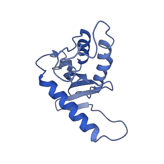 26254_7u05_G_v1-1
Structure of the yeast TRAPPII-Rab11/Ypt32 complex in the closed/closed state (composite structure)