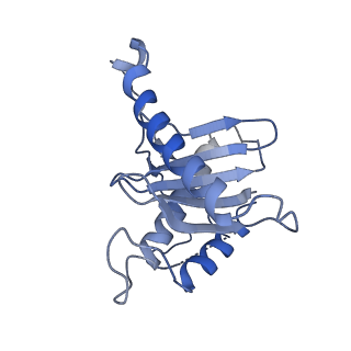 26254_7u05_H_v1-1
Structure of the yeast TRAPPII-Rab11/Ypt32 complex in the closed/closed state (composite structure)