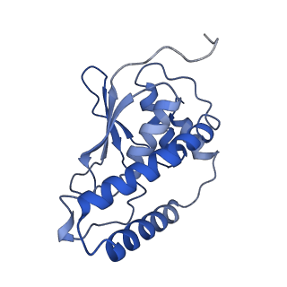 26254_7u05_I_v1-1
Structure of the yeast TRAPPII-Rab11/Ypt32 complex in the closed/closed state (composite structure)